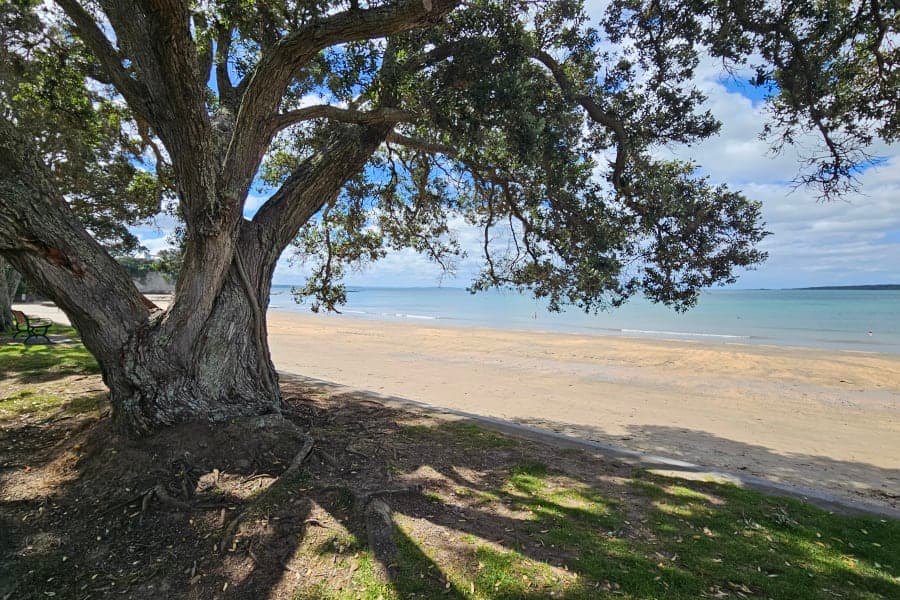 Narrow Neck Beach near playground